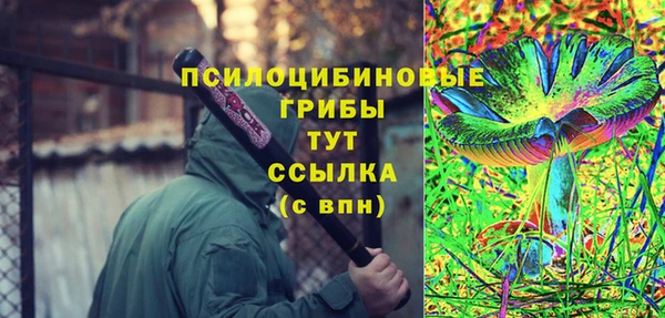 амф Майский