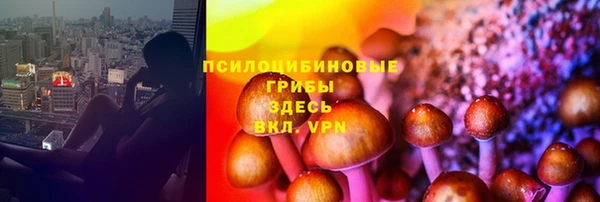 винт Магас