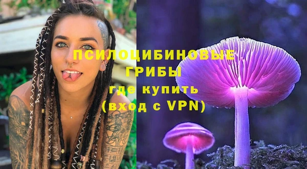 амф Майский