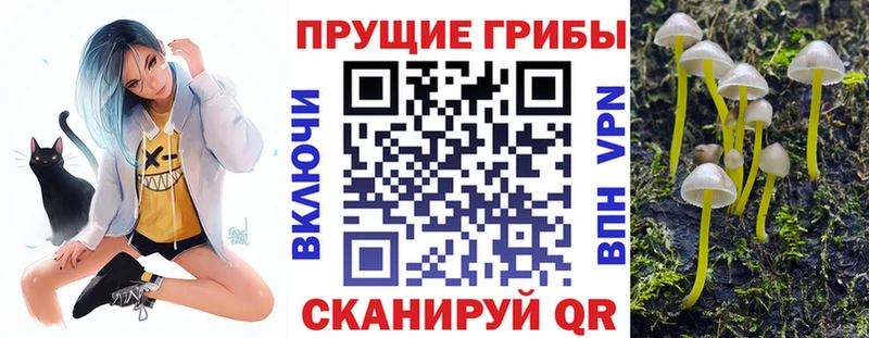 Псилоцибиновые грибы GOLDEN TEACHER  наркотики  Комсомольск-на-Амуре 