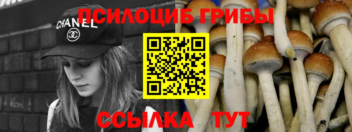 Галлюциногенные грибы Magic Shrooms  Вход с VPN  Комсомольск-на-Амуре 